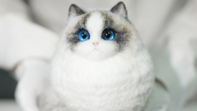 自分だけの色に染める、世界に一匹のハンドメイド愛猫。「マランニャン