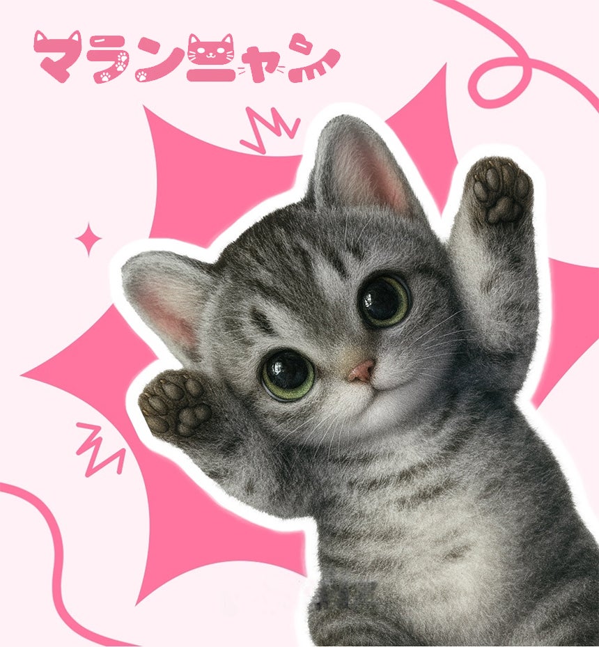 自分だけの色に染める、世界に一匹のハンドメイド愛猫。「マランニャン