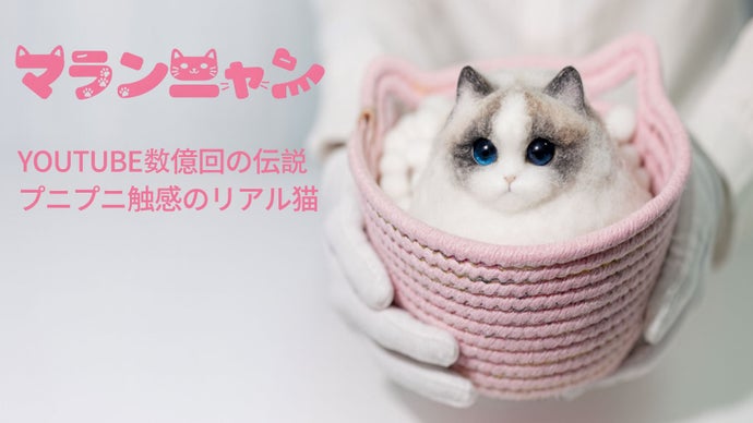 自分だけの色に染める、世界に一匹のハンドメイド愛猫。「マランニャンDIYキット」