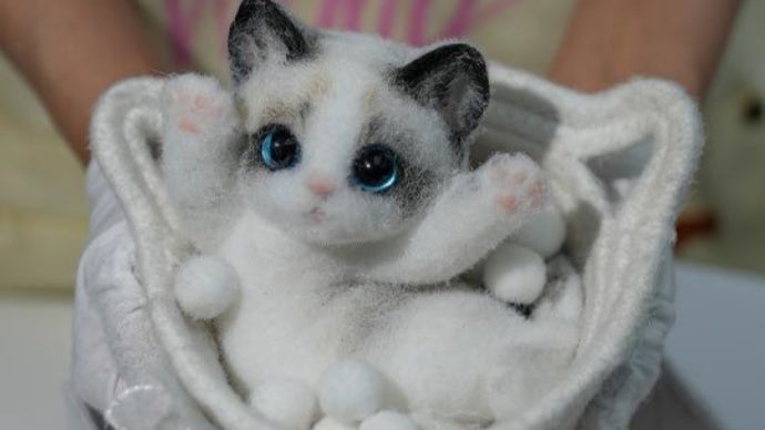 自分だけの色に染める、世界に一匹のハンドメイド愛猫。「マランニャン