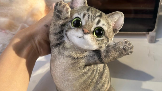 自分だけの色に染める、世界に一匹のハンドメイド愛猫。「マランニャン