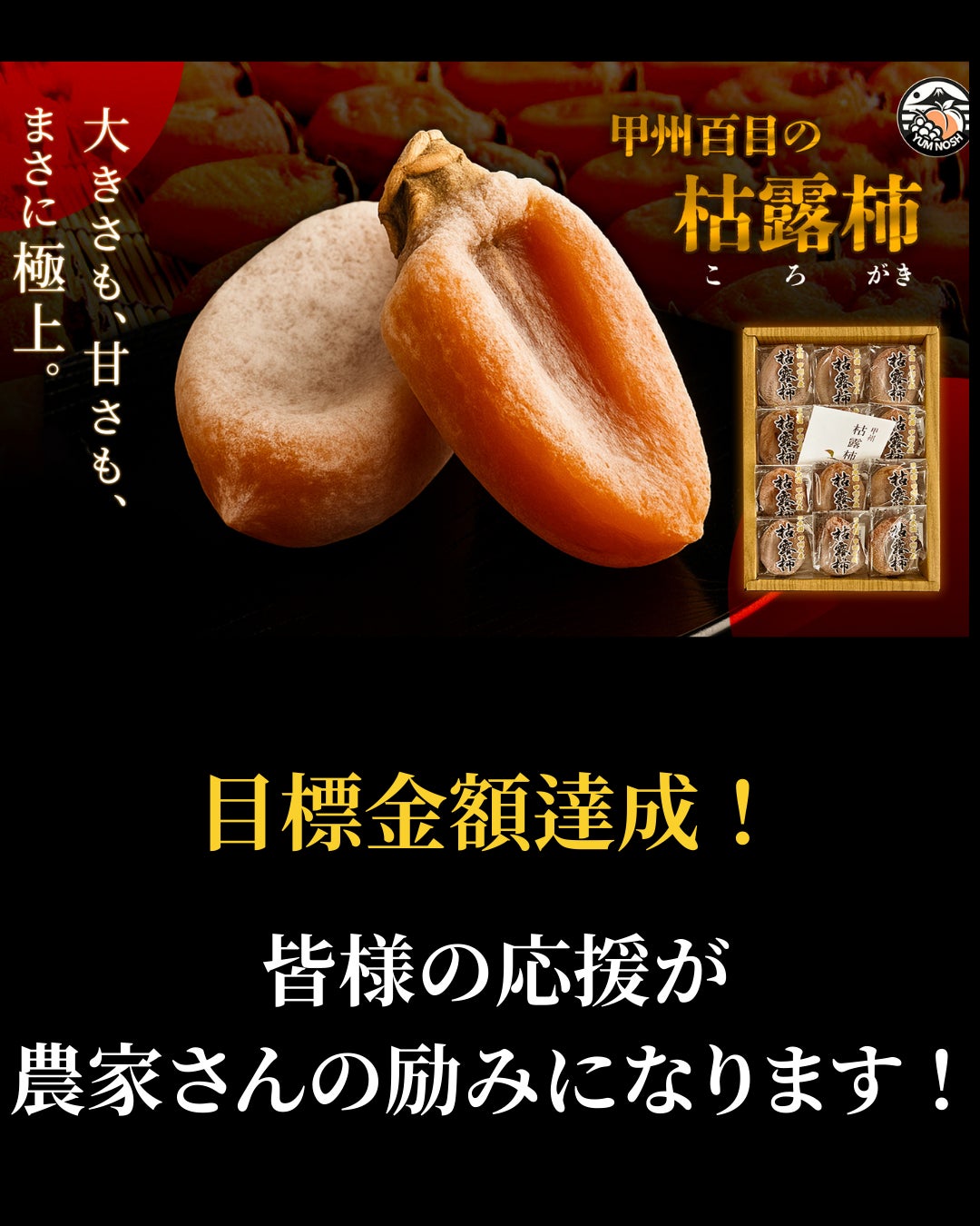 Makuake｜甲州百目の枯露柿 ねっとり濃厚｜山梨 世界農業遺産認定地域