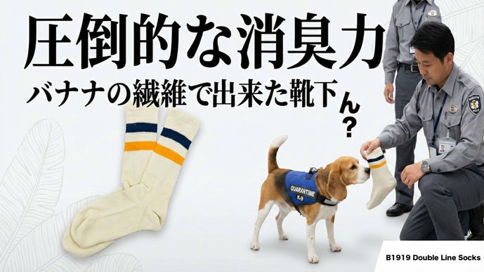 もう靴を脱ぐのが怖くない。ワンちゃんも首を傾げる消臭力の「靴下」