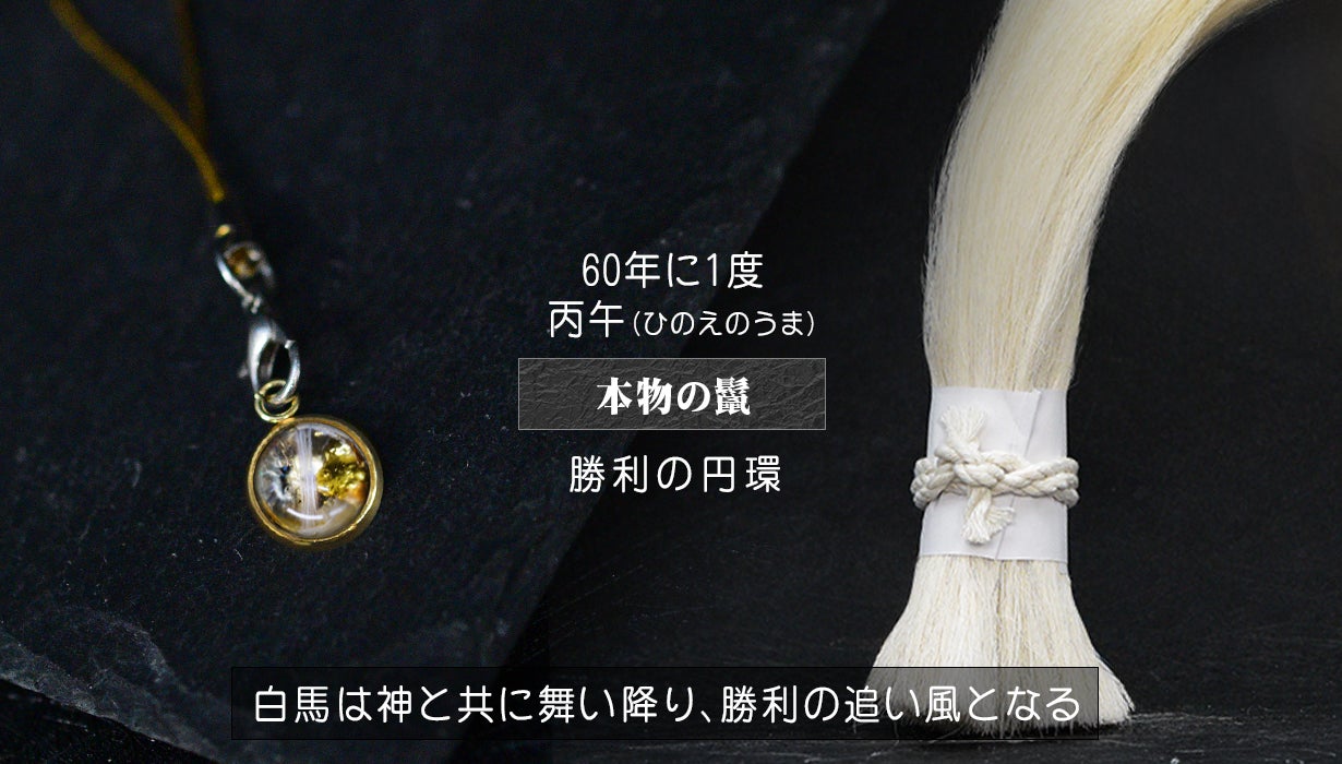 金運招来日生まれの精麻龍 現代風水研究会 会長「安藤 成龍」先生 推薦状付き～ 「金運願い龍
