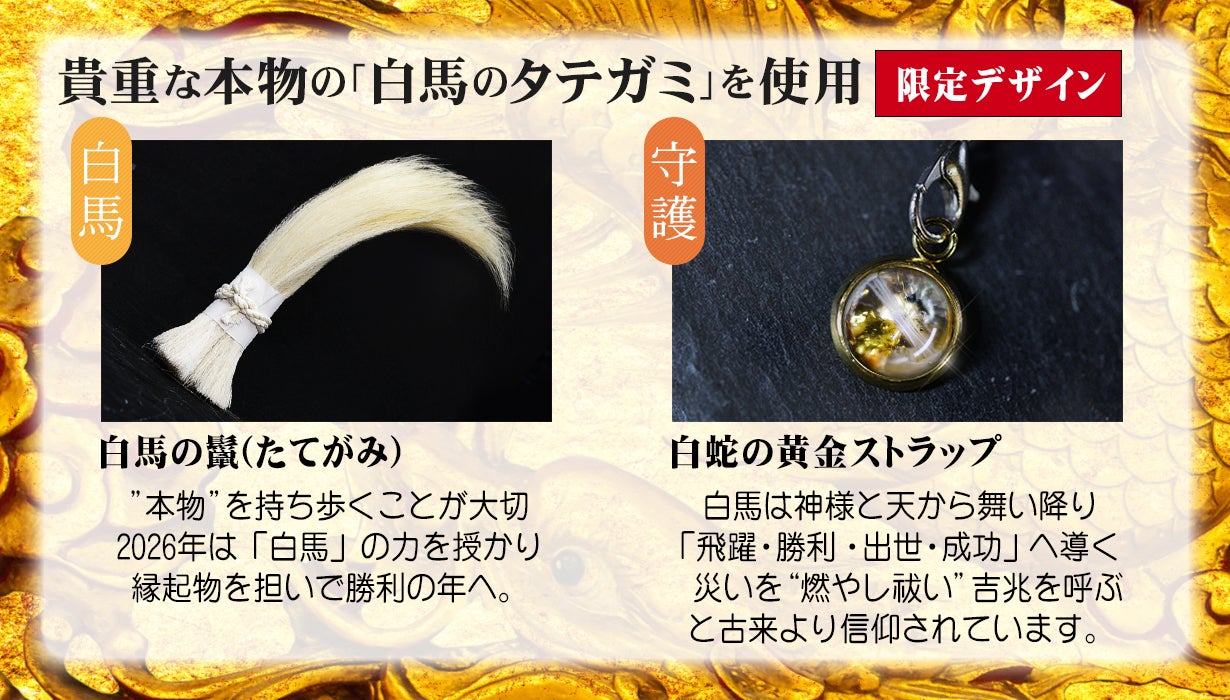 丙午【金運特化】10人の有名風水師が本気で“神馬を担いだ”お金の為の