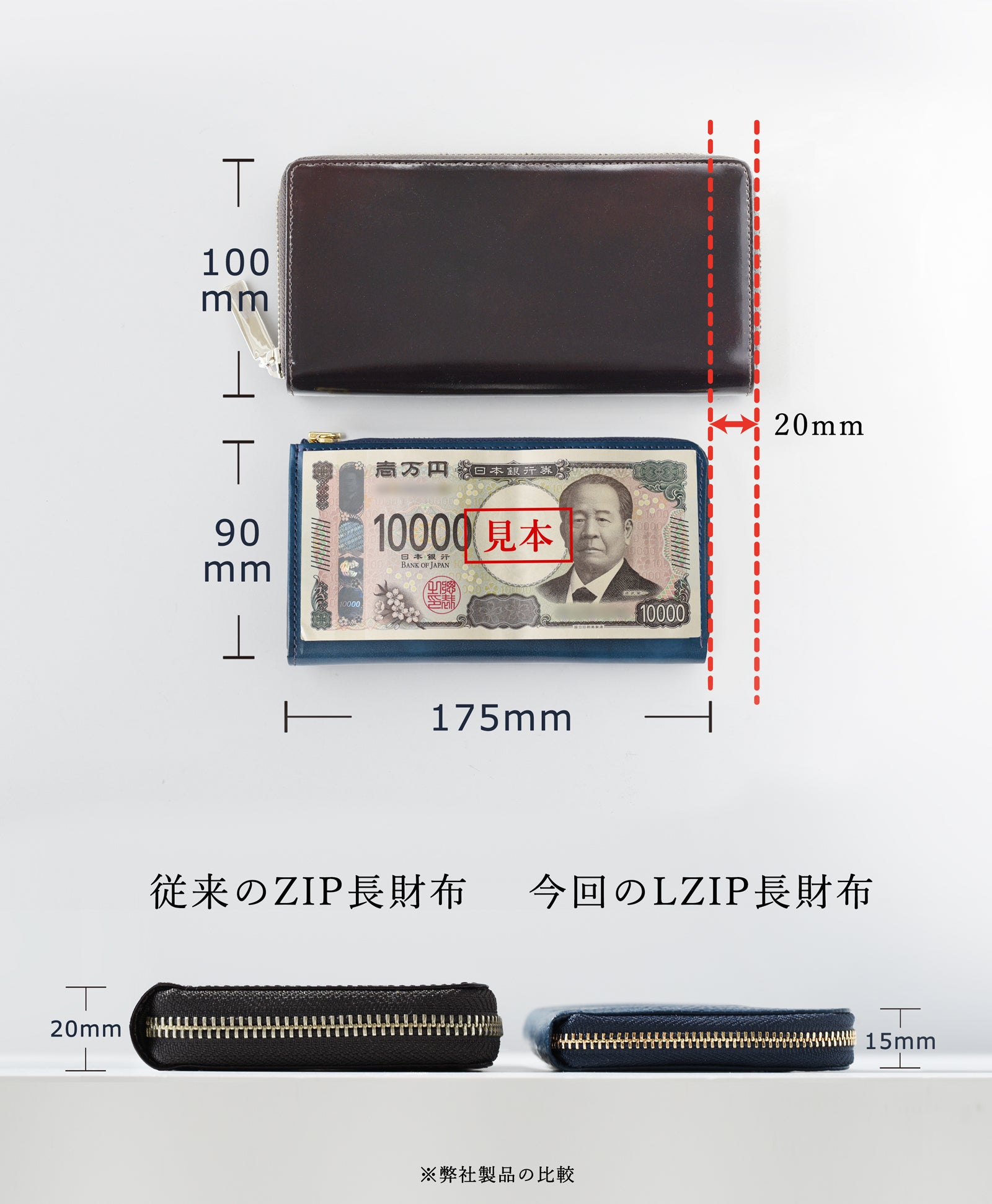 コンパクト”だけ”ではない。縦入れカードもつっかえず収まる特別設計L