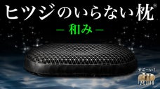 【2秒で寝落ち？！】ぷにょんぽにょんの寝心地で朝スッキリ！瞬間密着で気持ちいい！