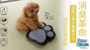 国産い草で空気を洗う!！繰り返し使える手間いらずの置くだけ消臭。