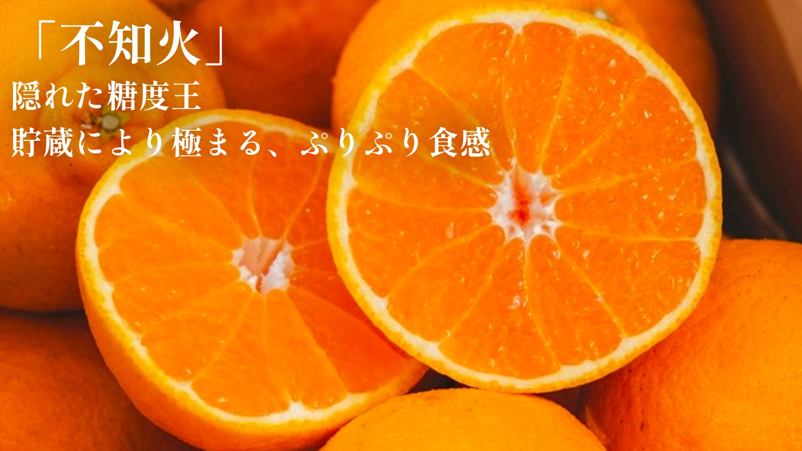3つの旬を見極めたプレミアム「せとか・清見・不知火」をお届けします