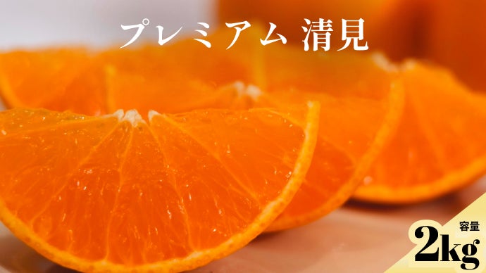 3つの旬を見極めたプレミアム「せとか・清見・不知火」をお届けします