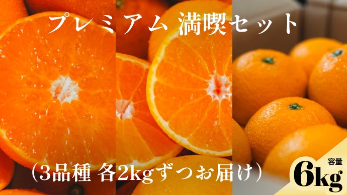 3つの旬を見極めたプレミアム「せとか・清見・不知火」をお届けします