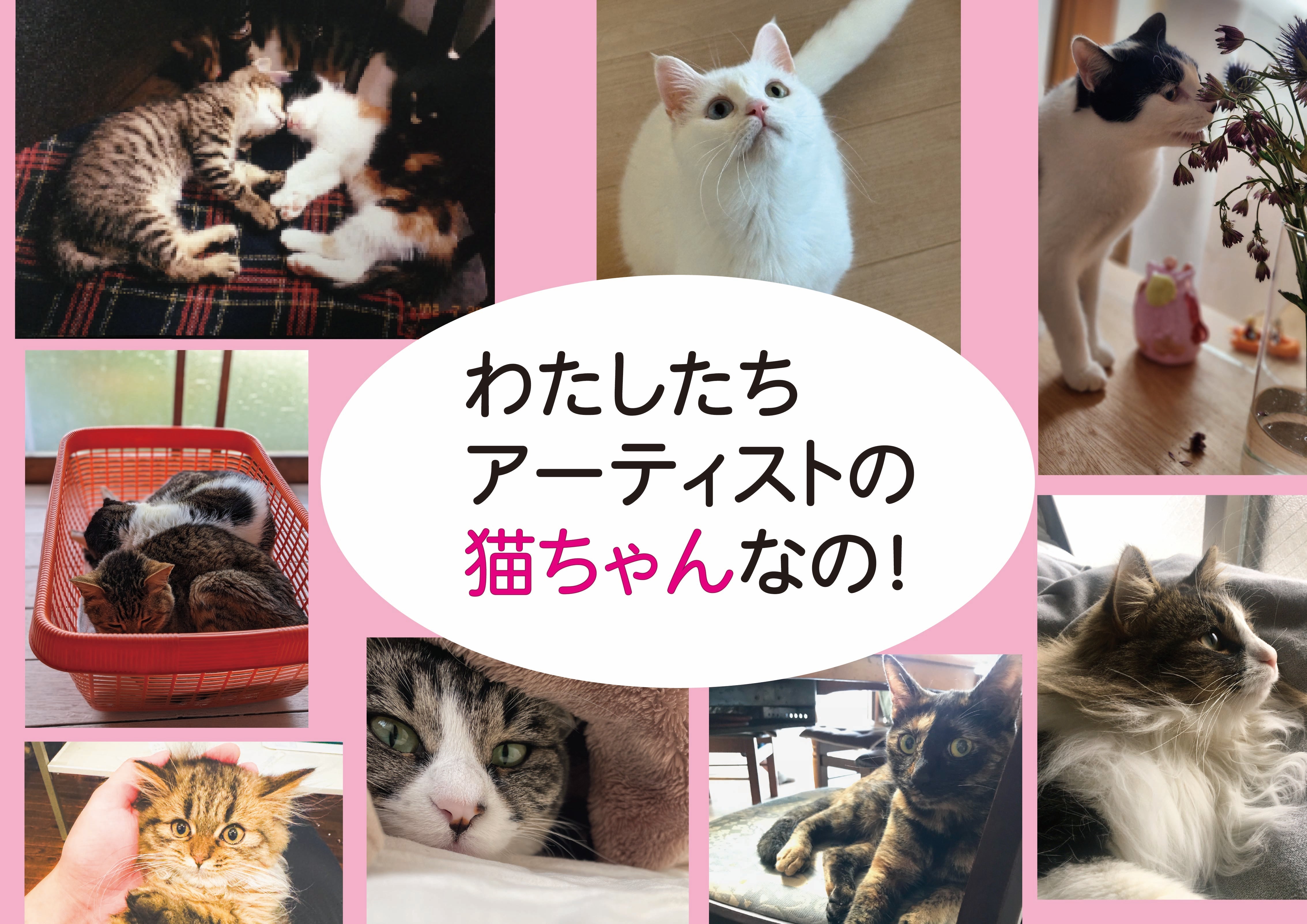 ねこ×アート】著名作家のオリジナルグッズで猫の寄付に貢献