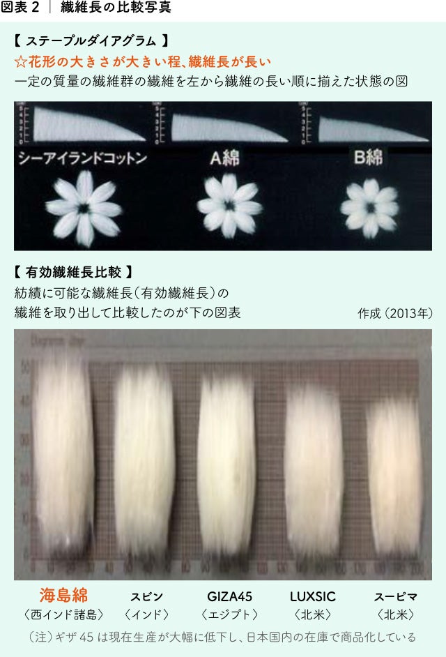 極上の素材体験・最高級の気持ちよさ。英国王室に愛された幻のコットン