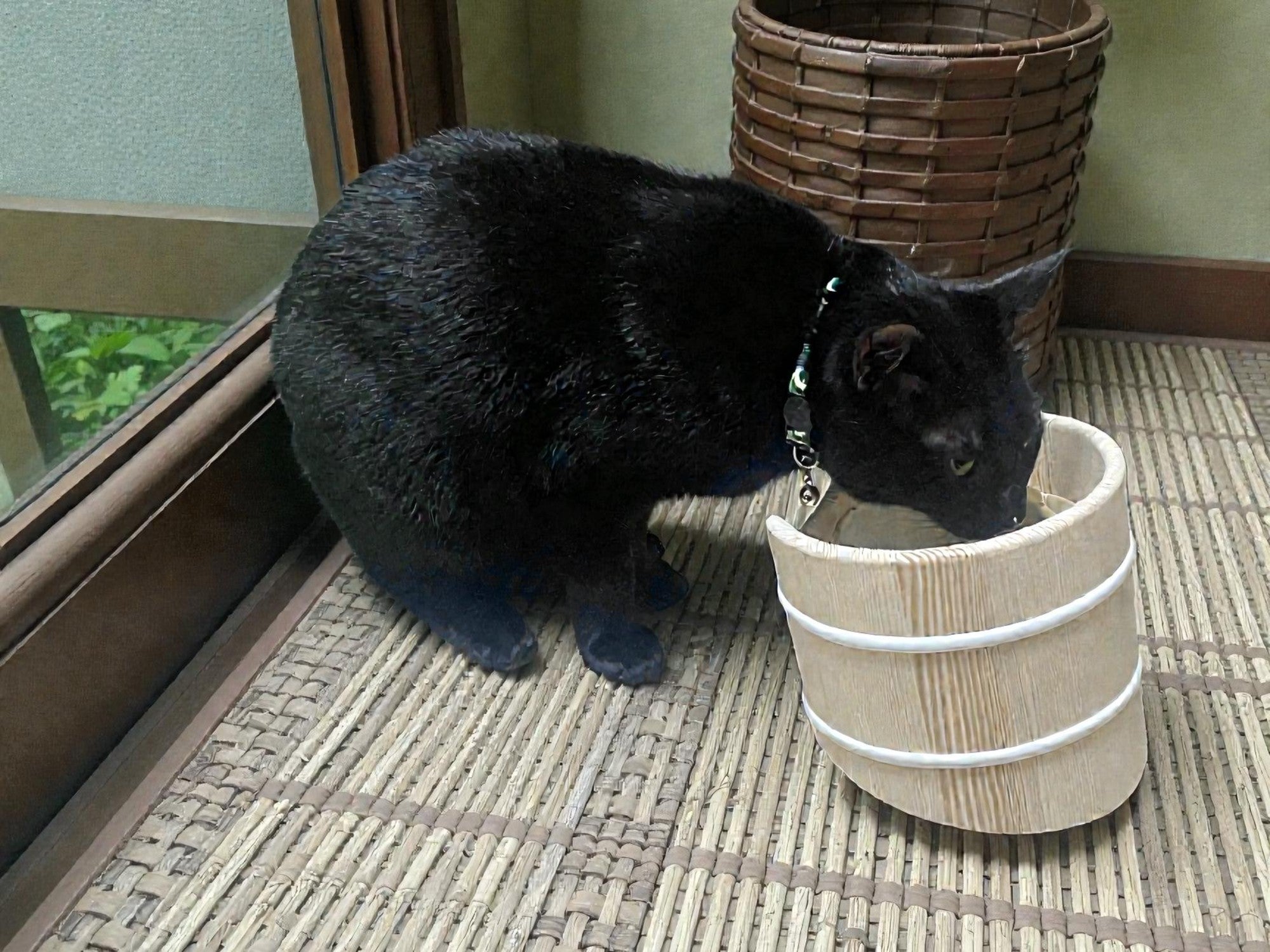 110年の桶樽屋の伝統と技術が贈る。猫ちゃんの負担を軽減する食器台
