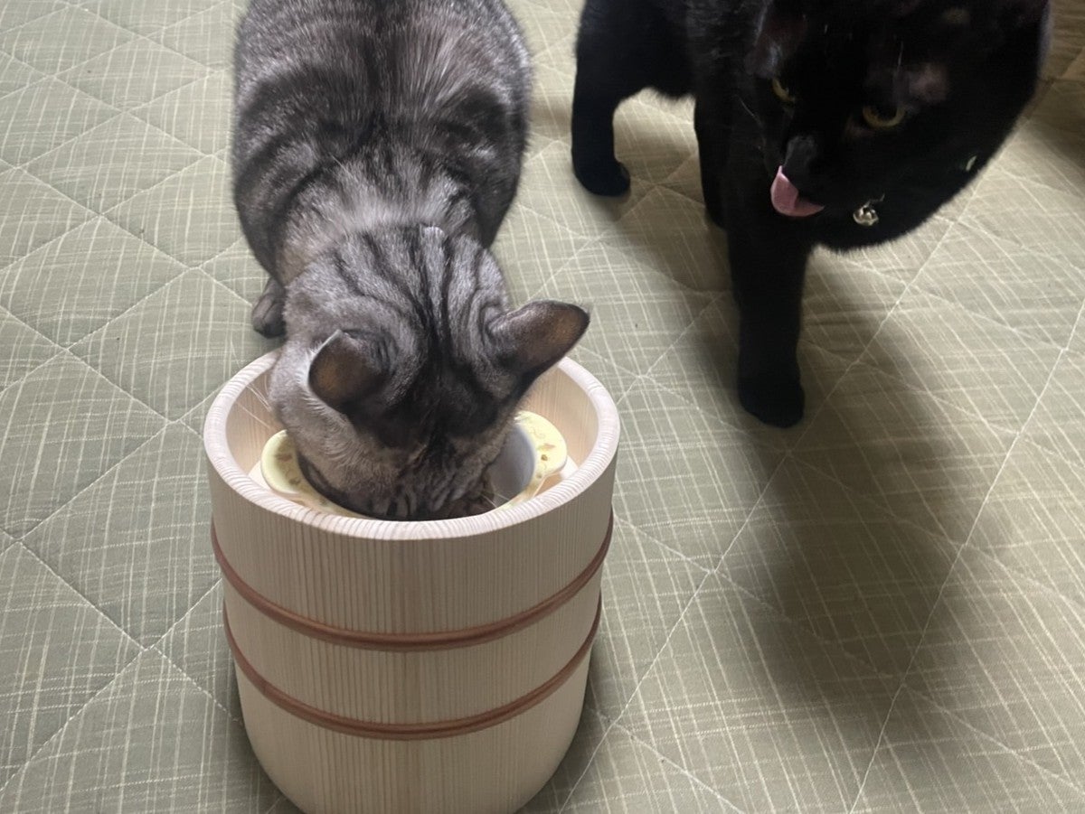 110年の桶樽屋の伝統と技術が贈る。猫ちゃんの負担を軽減する食器台