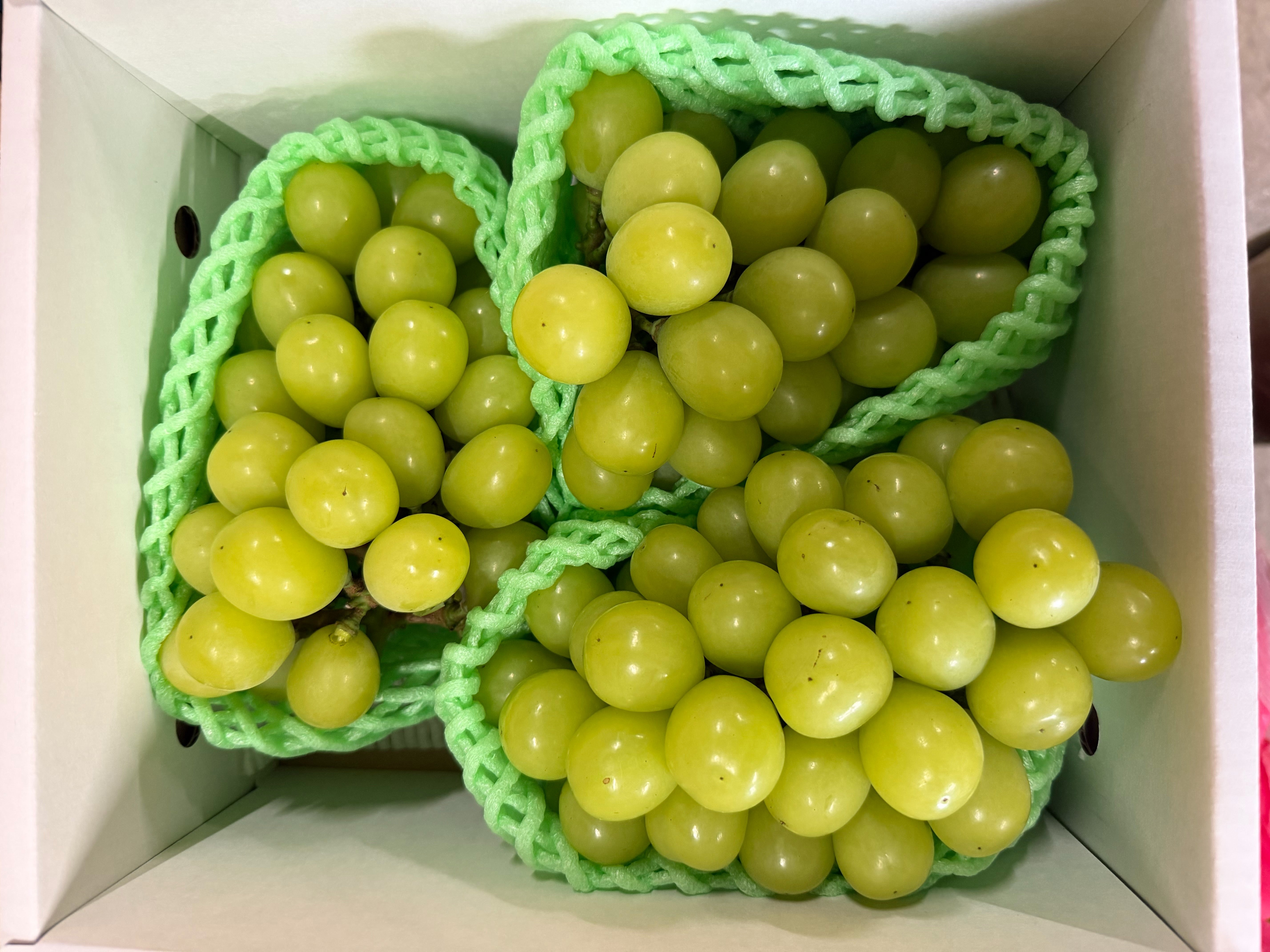 本物だけ”を届ける松栗の極上フルーツプロジェクト第7弾──『真の果実