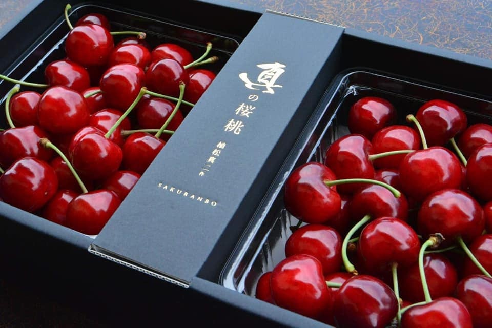 本物だけ”を届ける松栗の極上フルーツプロジェクト第7弾──『真の果実