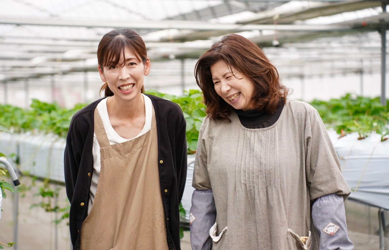 年間4000人以上が訪れる人気のいちご館から、朝採れ完熟いちごを数量