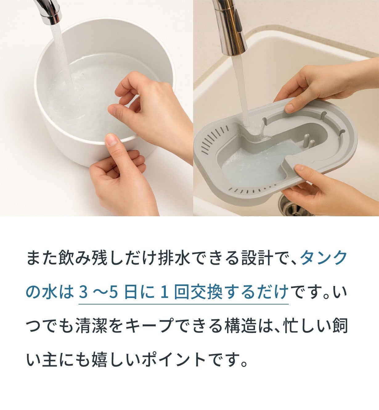 給水器 楽天市場】特典付［ ペット用ボトル給水器スタンド ヌークス
