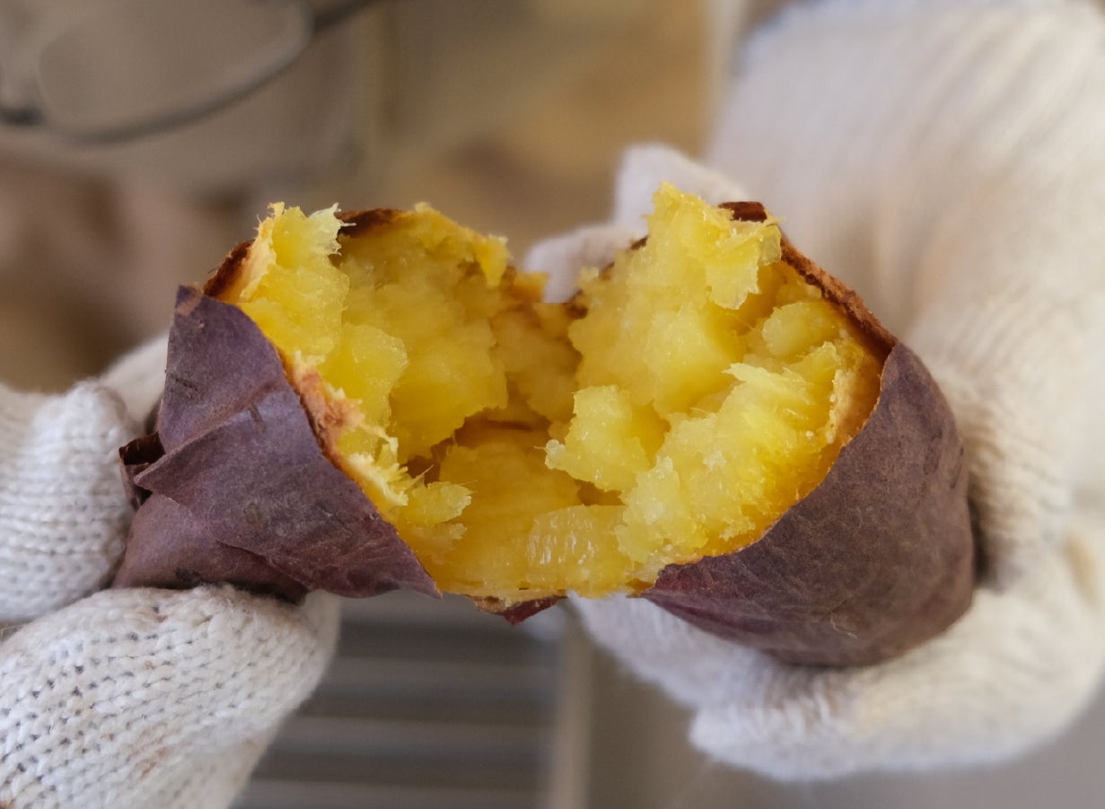 2026年・第九弾！規格外、でも甘さは本物。甘過ぎて研究対象になった