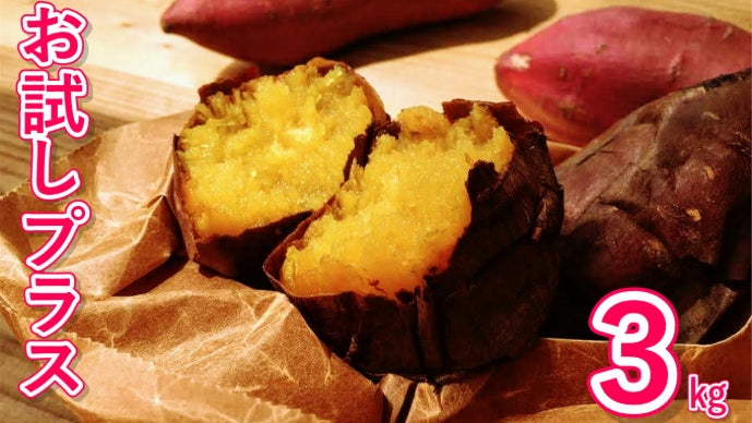 2026年・第九弾！規格外、でも甘さは本物。甘過ぎて研究対象になった