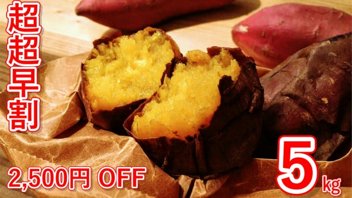 2026年・第九弾！規格外、でも甘さは本物。甘過ぎて研究対象になった