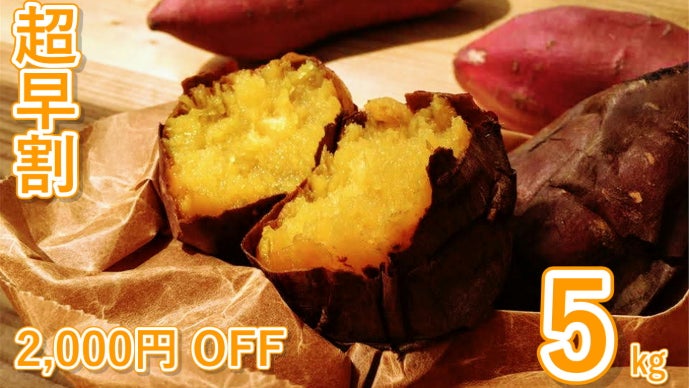 2026年・第九弾！規格外、でも甘さは本物。甘過ぎて研究対象になった