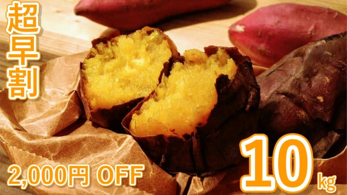 2026年・第九弾！規格外、でも甘さは本物。甘過ぎて研究対象になった