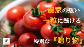 長崎の小さな農家の本気の挑戦！次世代へ紬ぐアタラシイ農業のカタチ。