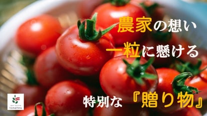 長崎の小さな農家の本気の挑戦！次世代へ紬ぐアタラシイ農業のカタチ