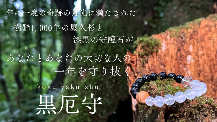 樹齢1,000年の「屋久杉」×漆黒の守護石「モリオン」の厄除けブレス【黒