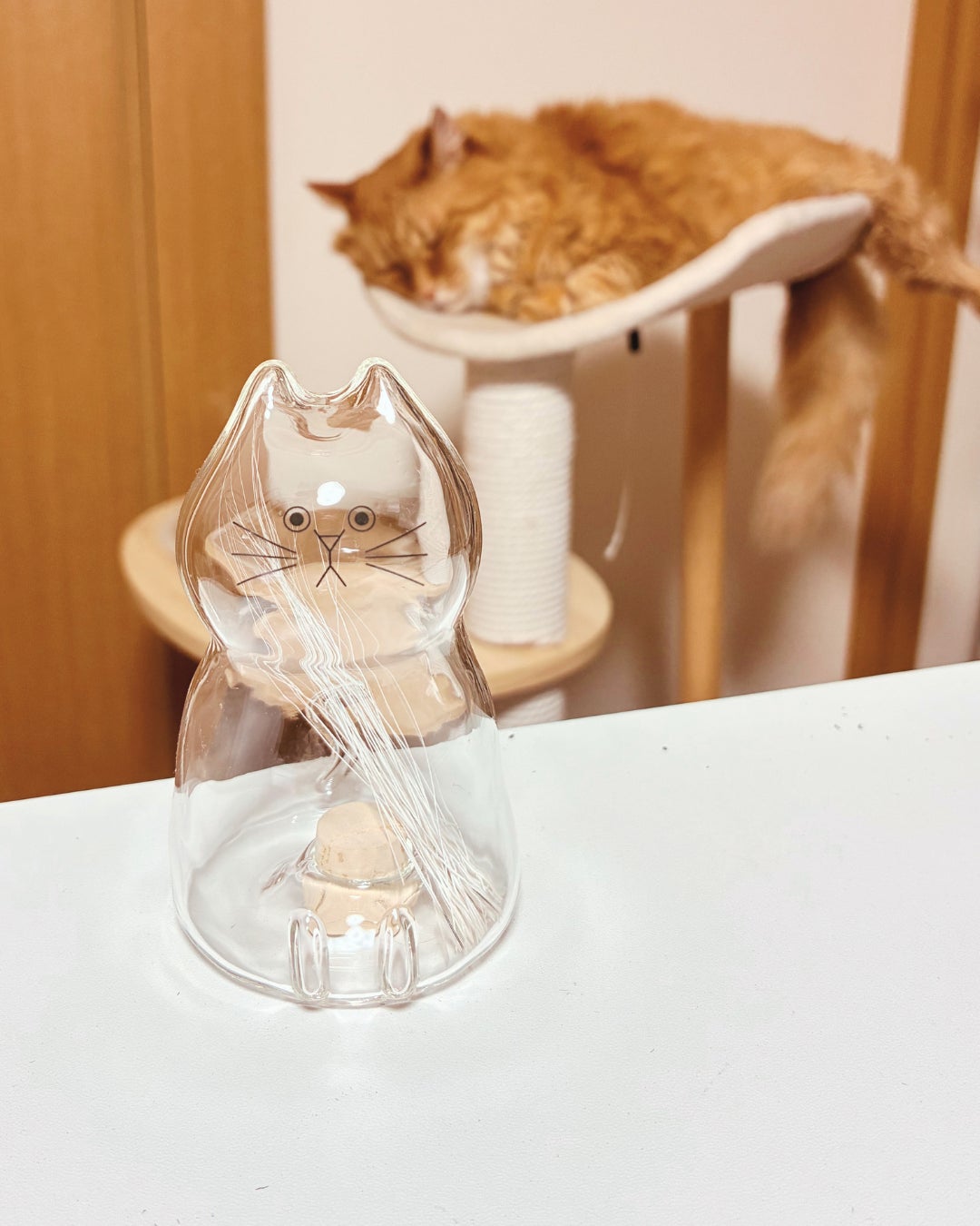 Makuake｜「うちの子のけだまだま」から、待望のガラスシリーズ誕生