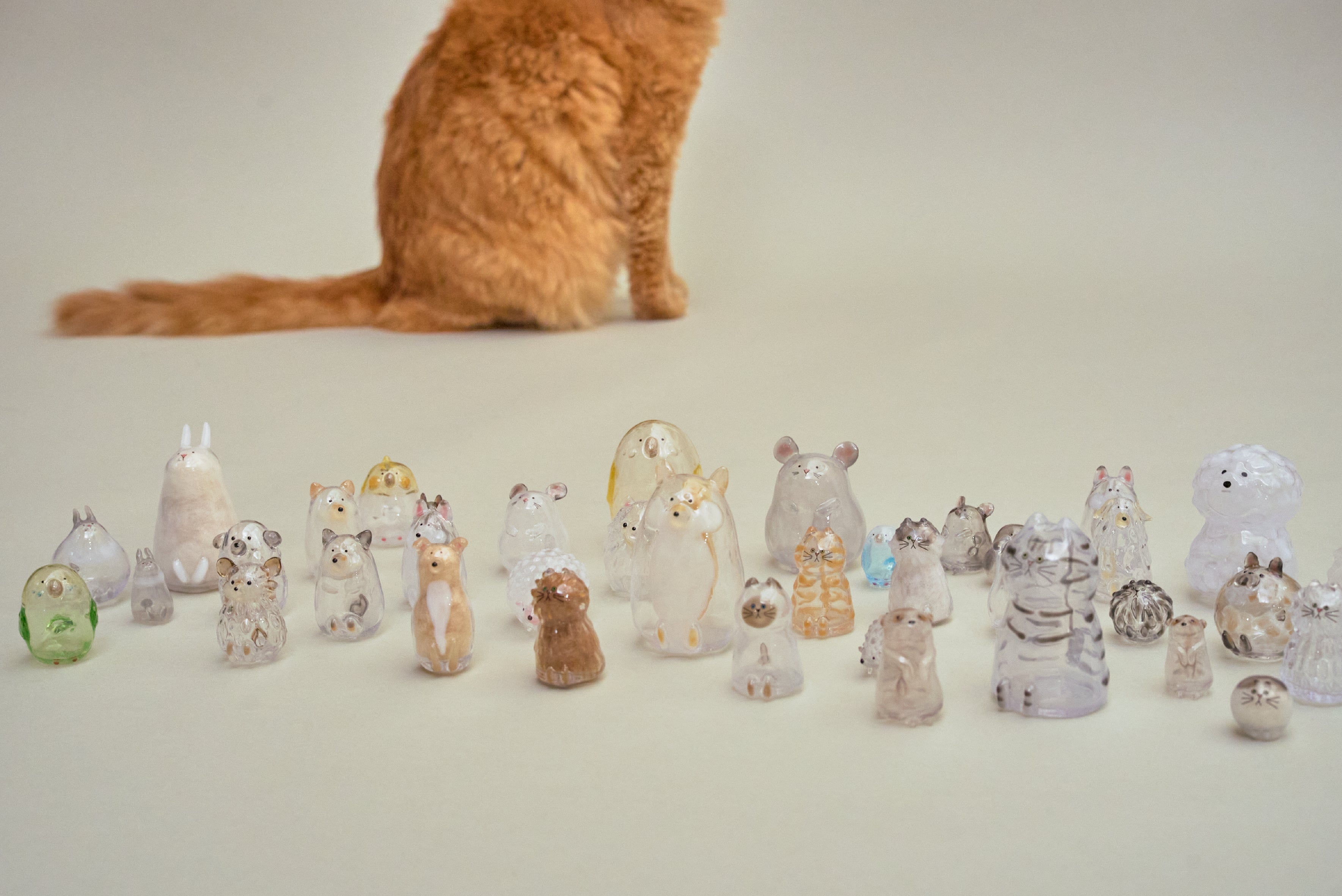 うちの子のけだまだま」から、待望のガラスシリーズ誕生！｜マクアケ