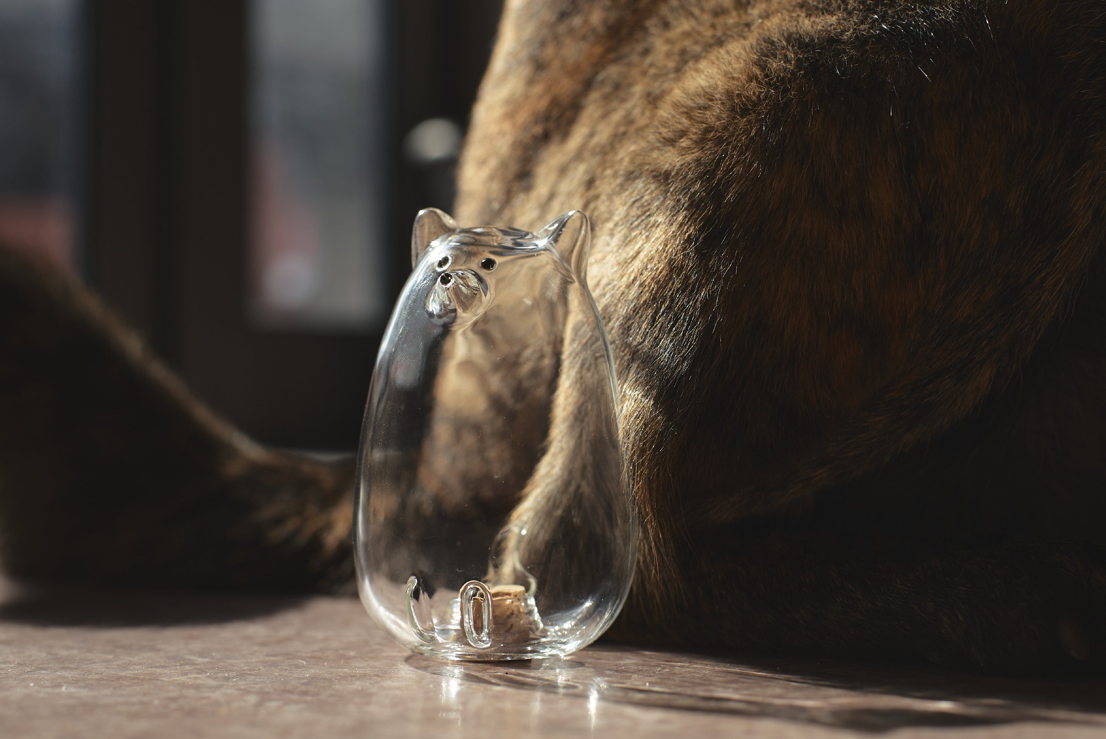 うちの子のけだまだま」から、待望のガラスシリーズ誕生！｜マクアケ