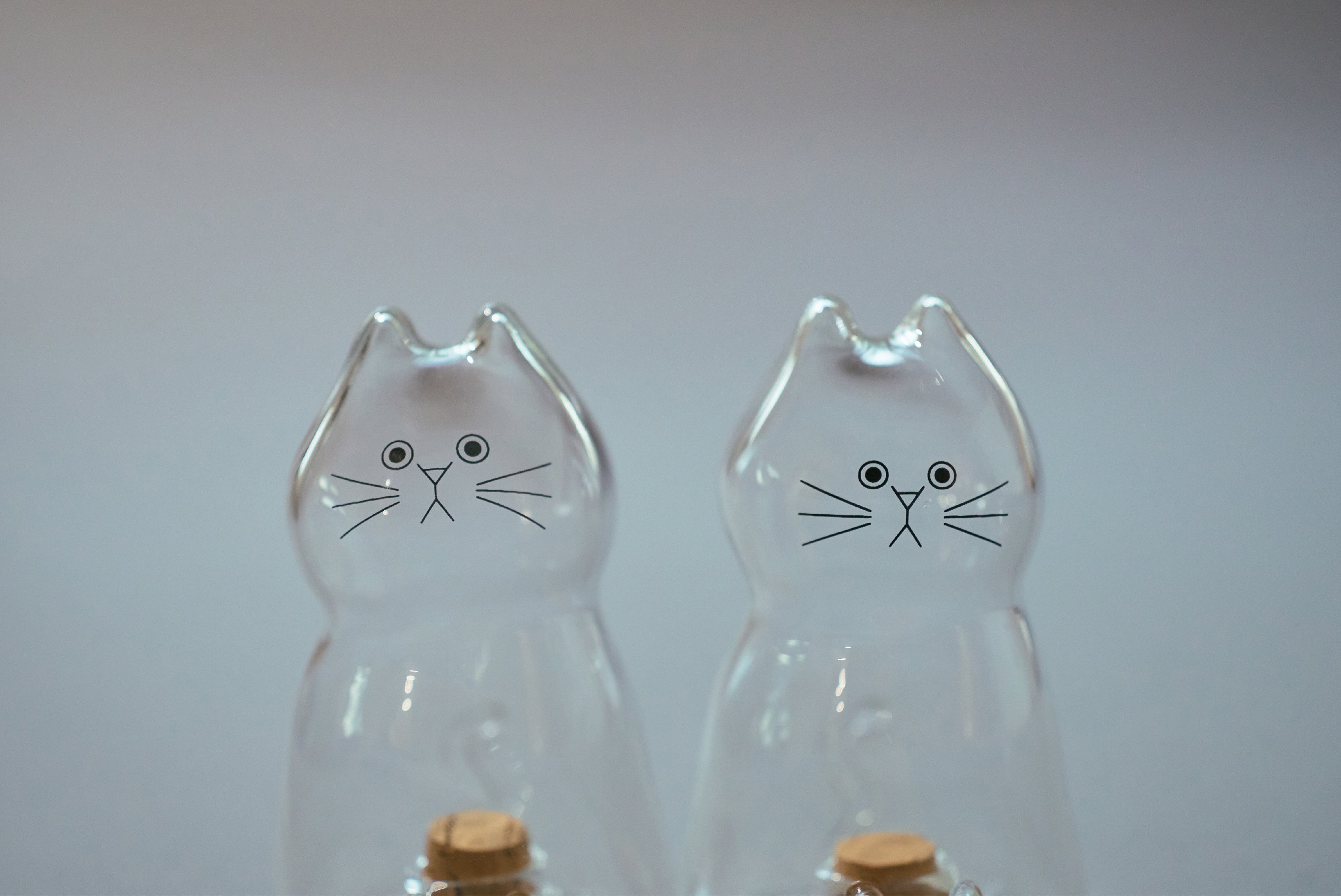 うちの子のけだまだま」から、待望のガラスシリーズ誕生！｜マクアケ