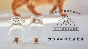 「うちの子のけだまだま」から、待望のガラスシリーズ誕生！