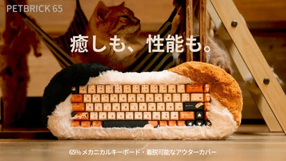 新感覚タイピング体験】 撫でるたび、心がほどけるキーボード
