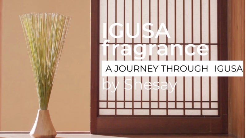 い草とくすのきで紡ぐ日本の伝統―次世代への贈り物【Igusa Fuji】