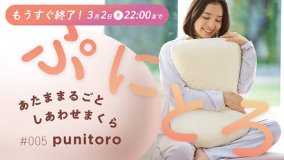 ミラクルピロー（Makuake購入）使用4日・美品 この枕、気持ちよすぎ！？ 】柔らかいのに首をしっかり支えてくれる