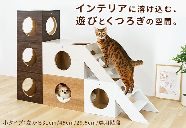 インテリア家具屋が本気で考案！愛猫・愛犬のための【オーダーメイドの