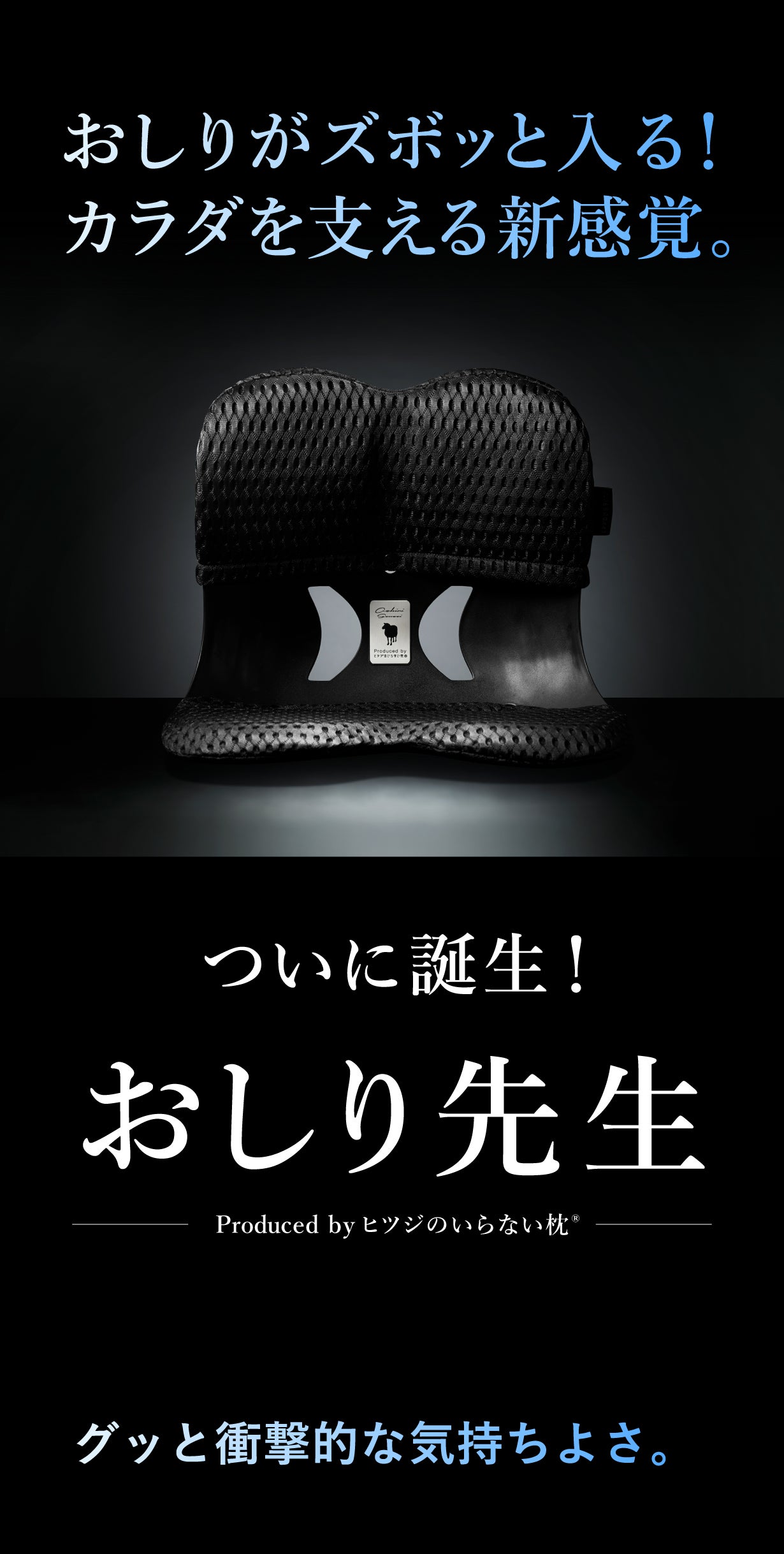 おしり先生　腰サポーター　ヒツジのいらない枕 ヒツジのいらない枕」、姿勢サポートチェア「おしり先生」発売