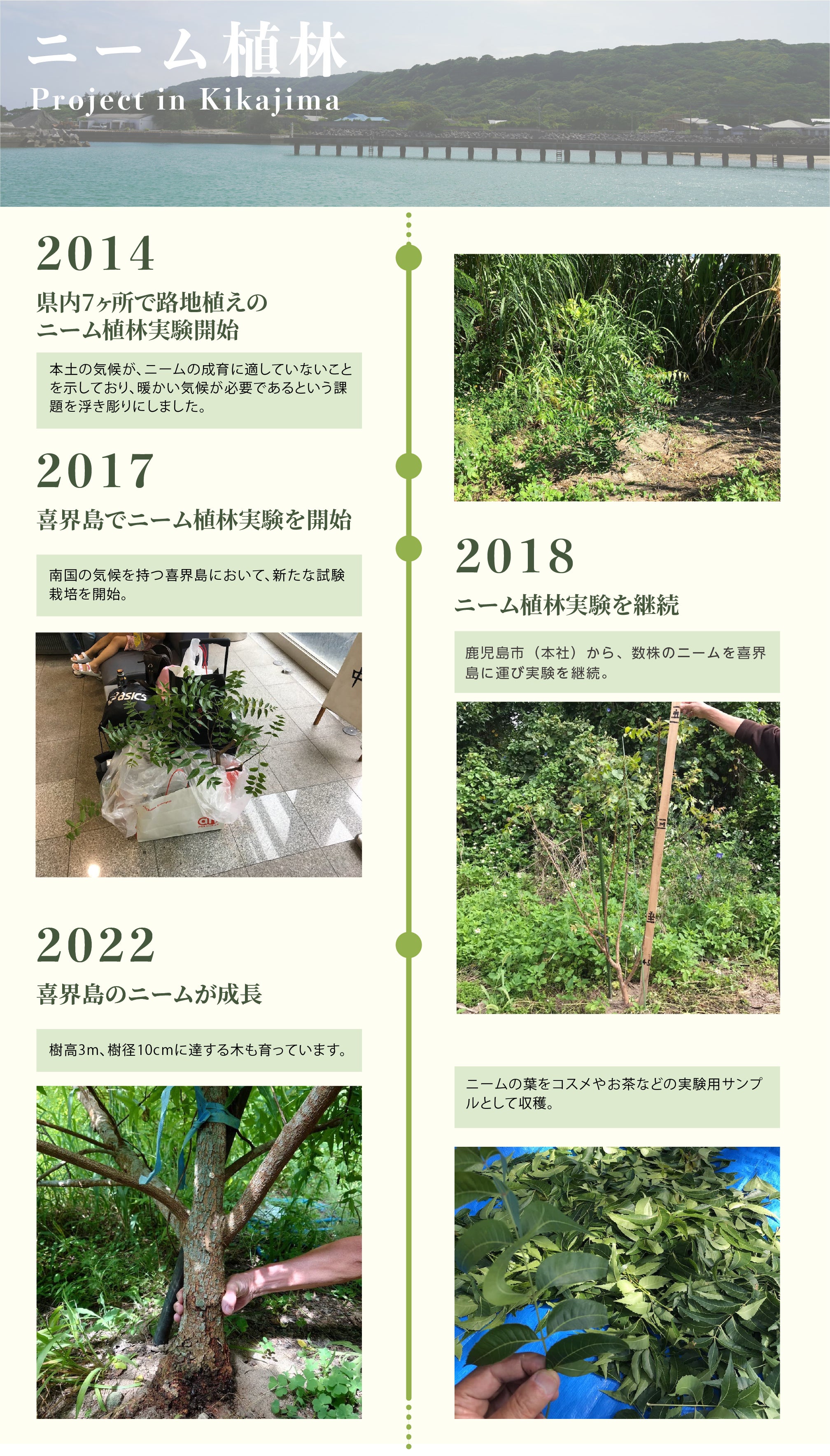 肌の土台作りに特化したスキンケア。はり、つや、すこやかさをこれ