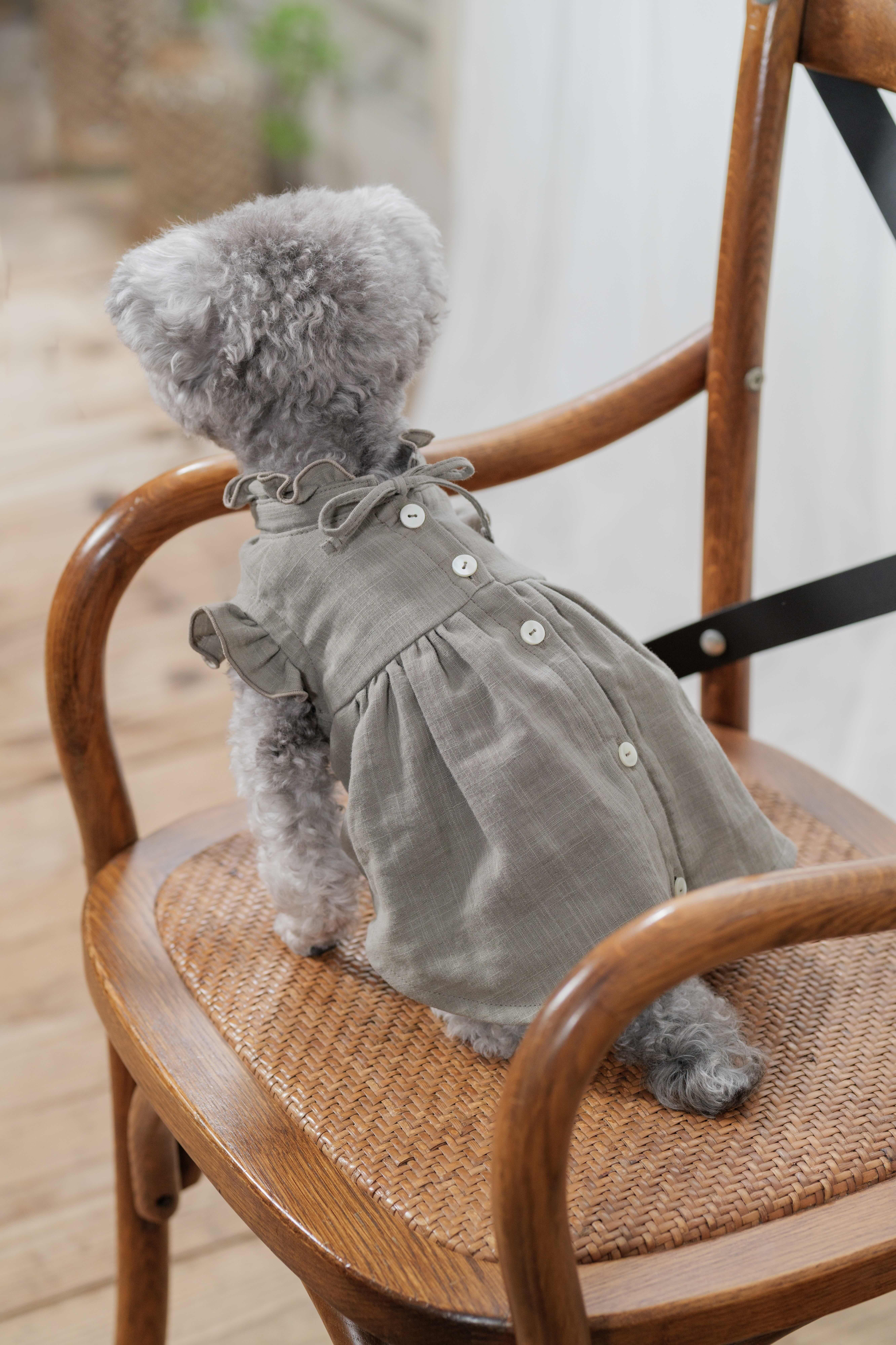 犬とひとのおそろい服 BIYOLI】ペットとのお出かけを心地よく彩る