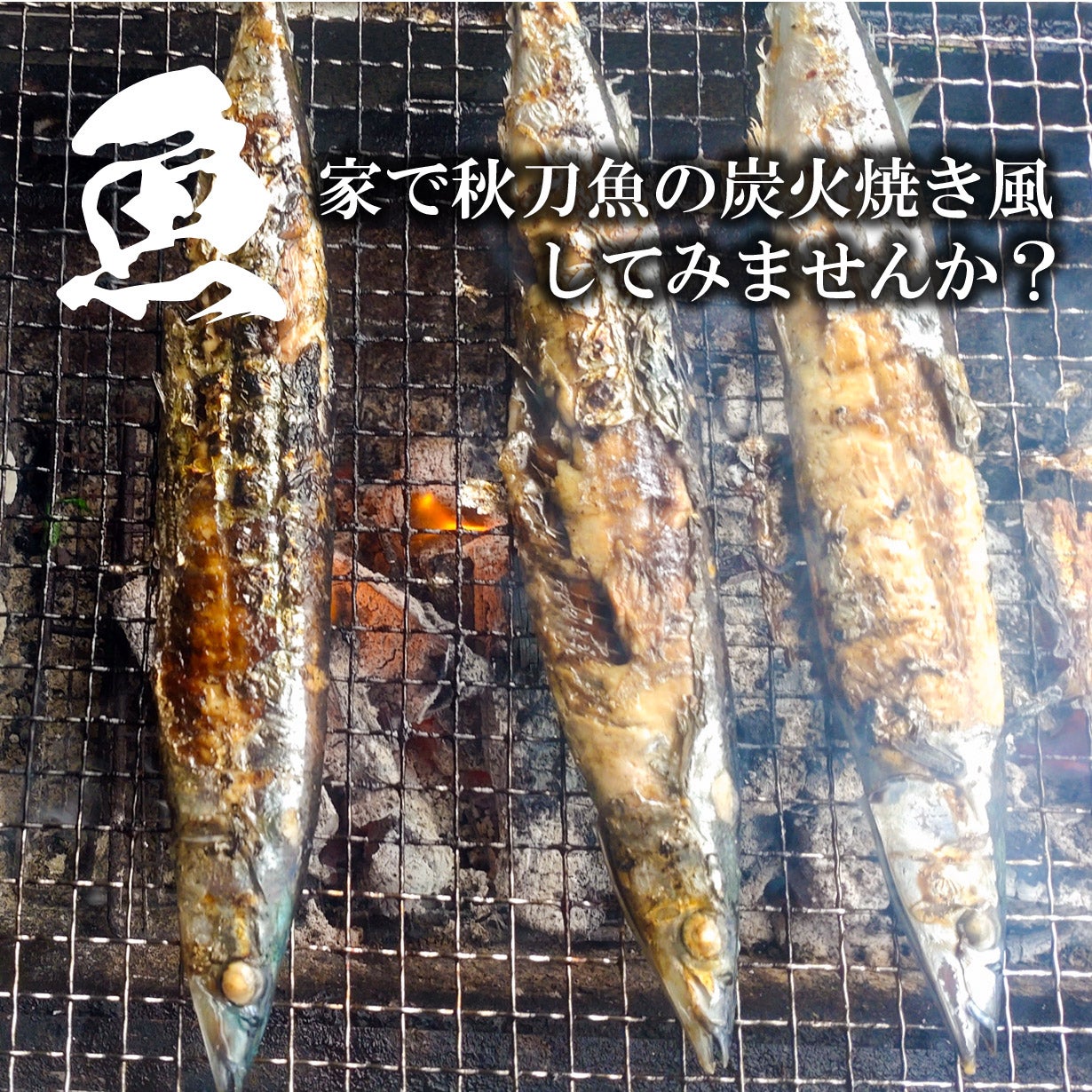 貴方の炭焼き料理屋を開店！かけて焼くだけでBBQを味わえる炭火焼気分