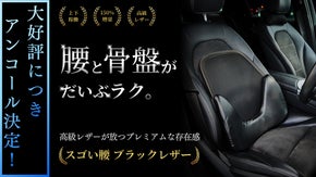 【アンコール】大人気シリーズ｜骨盤から支えて腰もラク◎高級レザーと150%増量