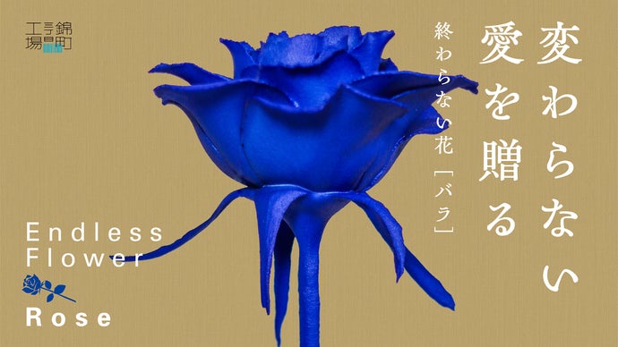 変わらない愛を贈る　終わらない花 「バラ」