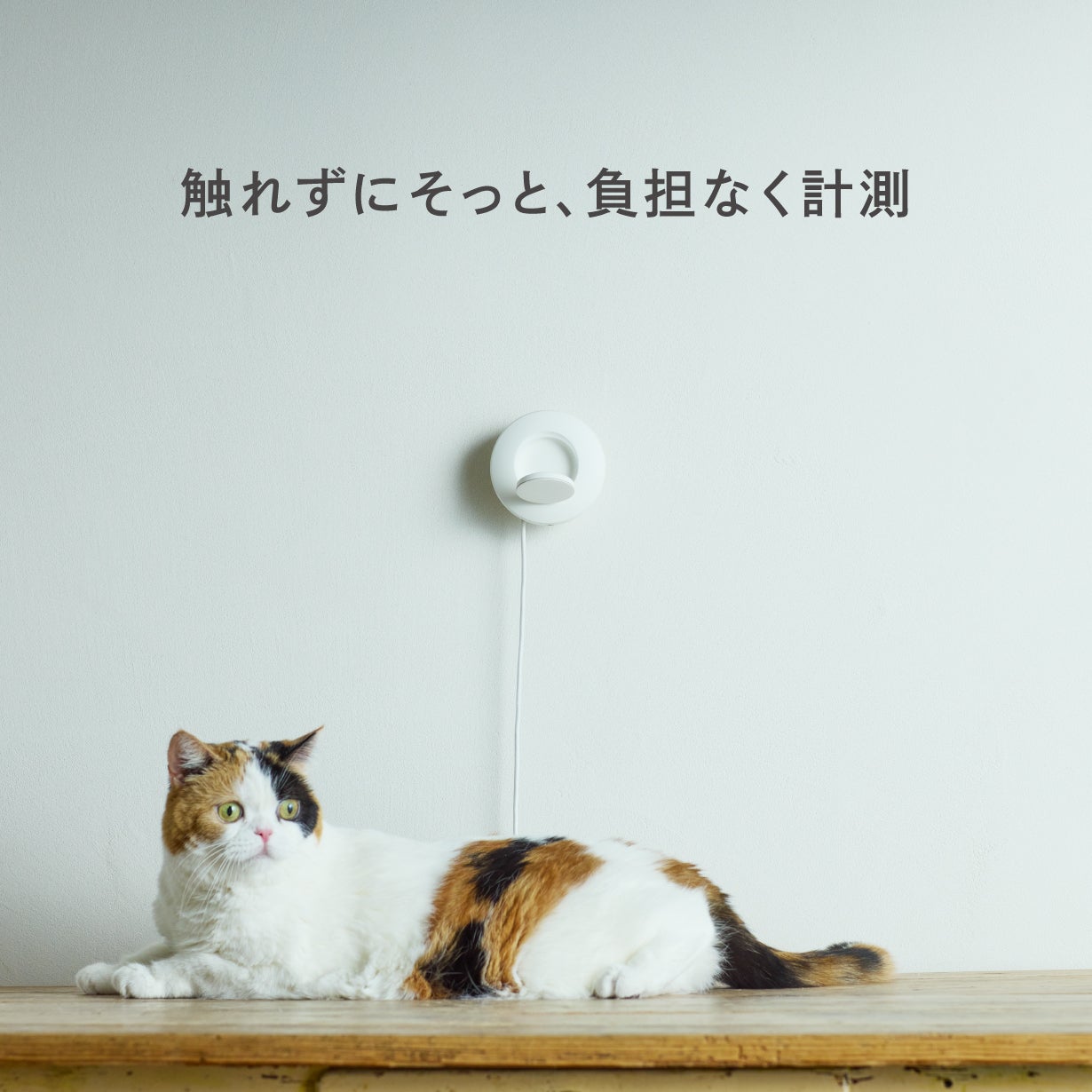 猫吸ページ そばに置くだけ、猫に触れない健康管理。呼吸を測るneamo（ニアモ