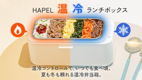 温かい物は温かく冷たい物は冷たく弁当も美味さ倍増　HAPEL温冷ランチボックス