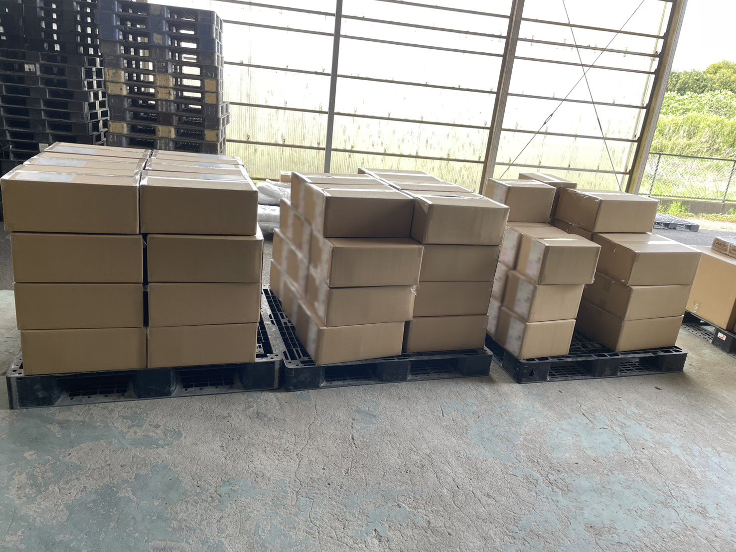 Makuake｜【衝撃の21kg】軽量&大空間！ボタン1つで設営10分！T-250エア