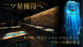 【東京唯一のミシュランメキシカン】  二ツ星MAZ出身の松苗シェフを迎える第二章